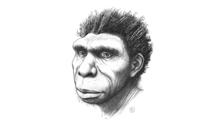 Homo bodoensis, a new human species to bring order out of chaos