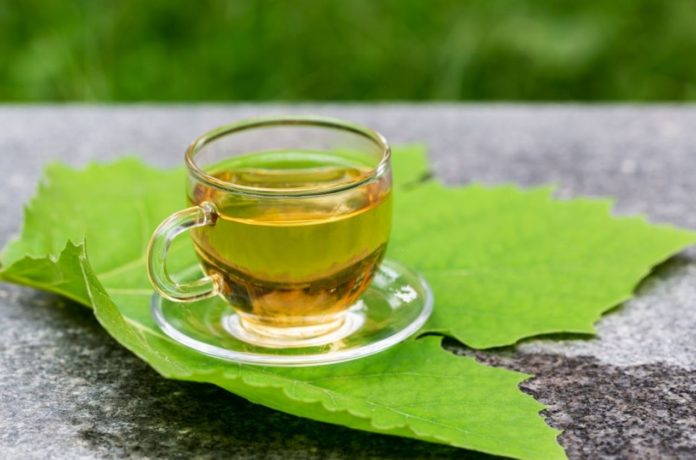Scientists reveal unexpected properties of green tea