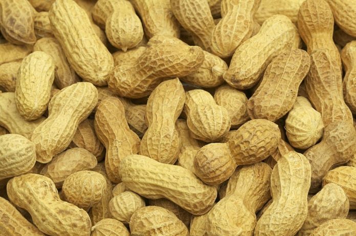 Serious Health Risks Peanuts Hide