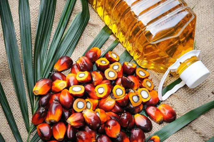 A diet rich in palm oil could accelerate 'Metastasis Risk' for months