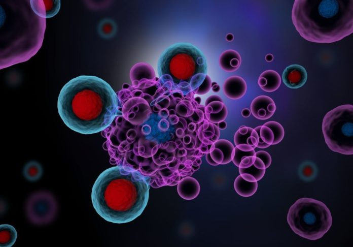 This is How T Cells Detect and Respond to Infections and Diseases