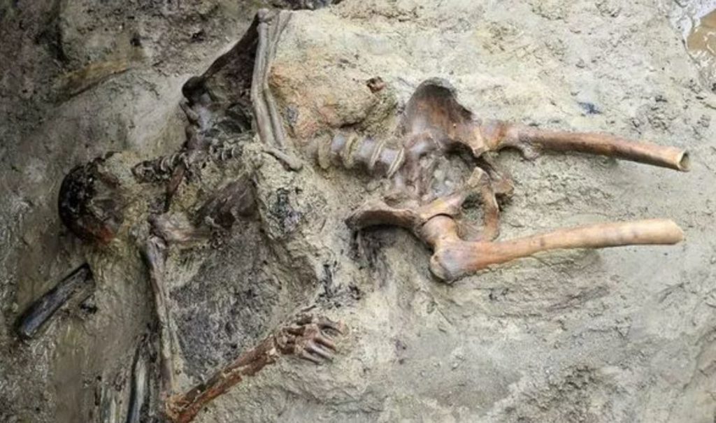 2,000-year-old 'vaporised' man's skeleton unearthed in Pompeii