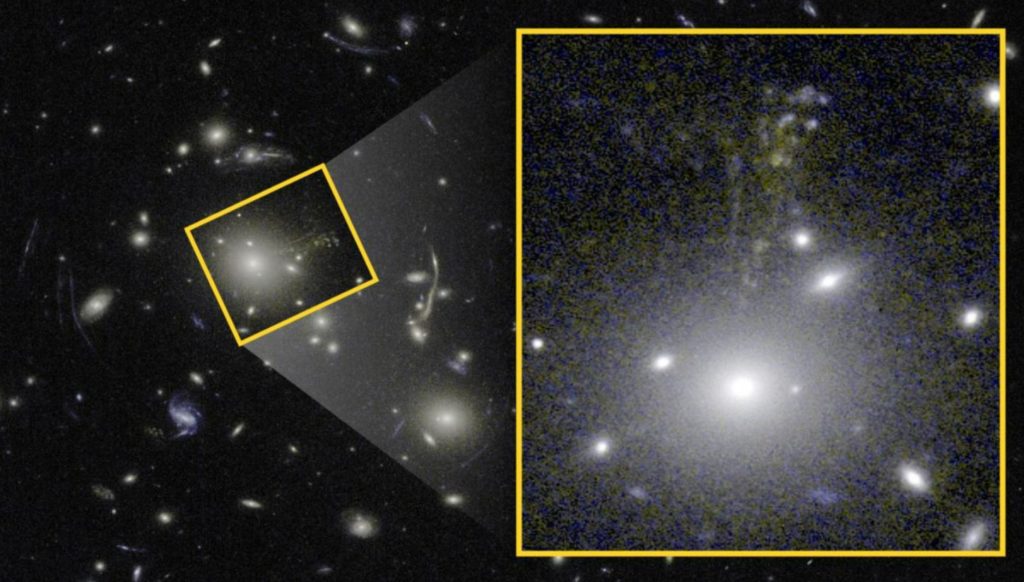 A galaxy similar to the Milky Way found in the early universe