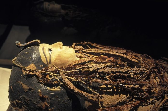 Egyptologists ‘digitally unwrap' 21st dynasty ‘lovingly restored’ mummy’ avoiding mythical curse