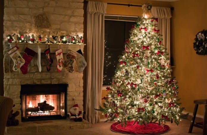 Expert reveals the danger of Christmas trees
