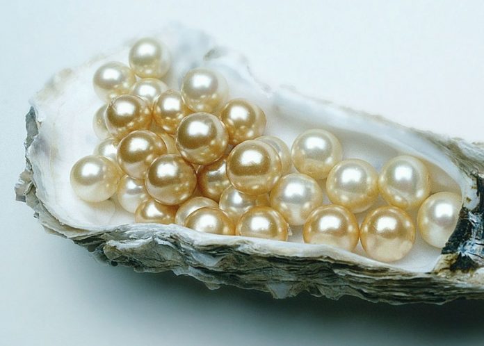 Nursery teacher discovers 12 pearls in her oyster dinner