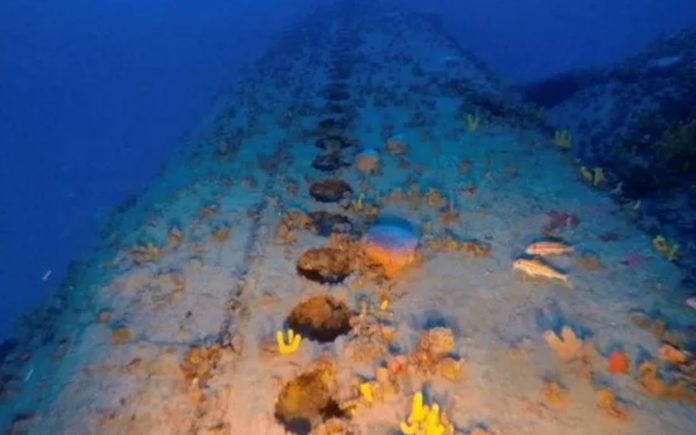 Torpedoed 'rare' WW2 submarine found at a depth of 103 metres below sea level