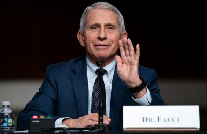 This explains why Dr. Anthony Fauci called GOP Senator a ‘Moron’