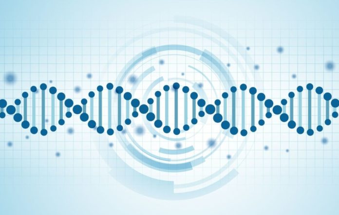 CRISPR-Cas9 can give rise to unforeseen changes in DNA that can be inherited by next-generation, warns new study