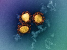 New COVID-19 study identifies variants that could escape our immune response