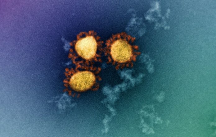 New COVID-19 study identifies variants that could escape our immune response