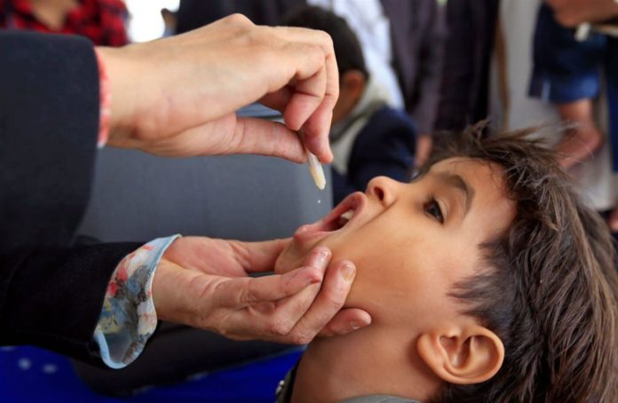 New Cholera Vaccine Made of Virus-like Particles Offers Longer-lasting Immunity