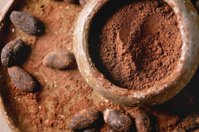 Cocoa flavanol shows promise for lowering cardiovascular risk