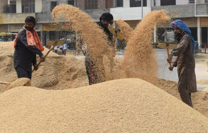 Russian invasion of Ukraine seems to strengthen India's grain market as war continues