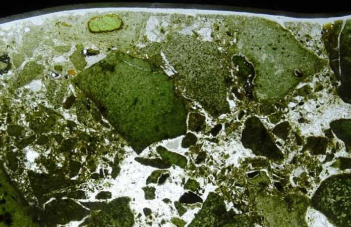 Study reveals the complex structure of life inside Earth