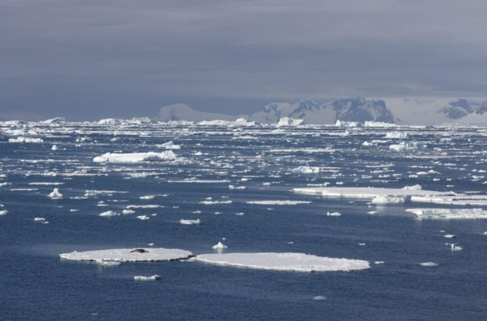 Antarctic sea-ice shrinks to near-record low extent