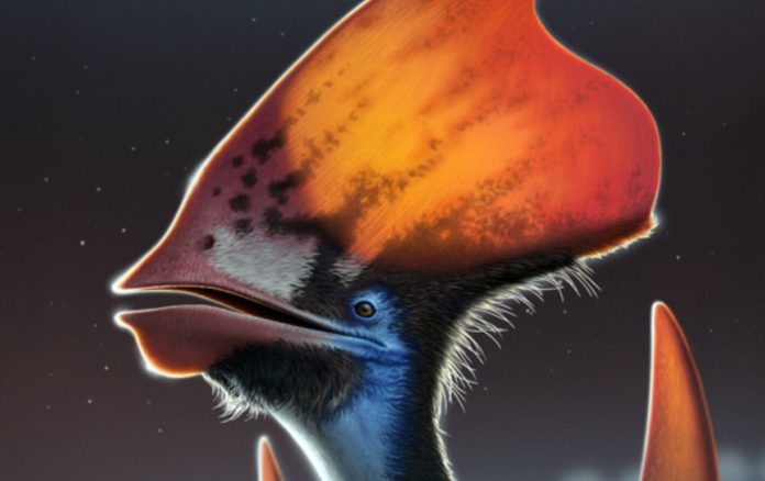 Pterosaur could change the colour of their feathers - study