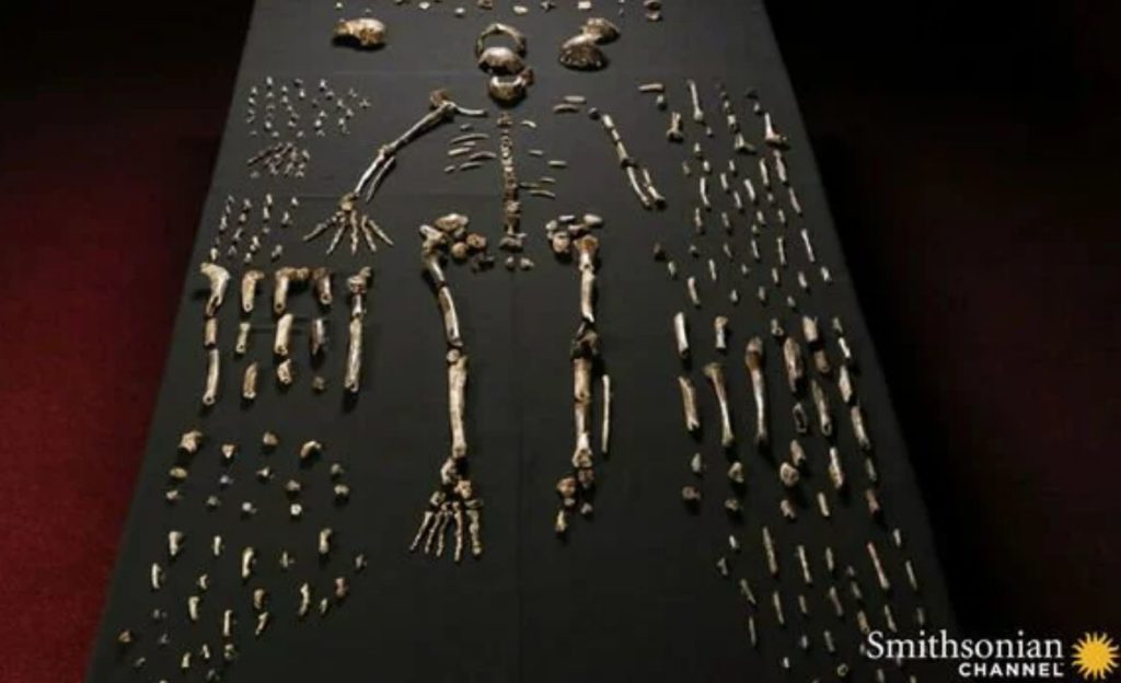 Um novo tipo de humano antigo encontrado em cavernas sul-africanas