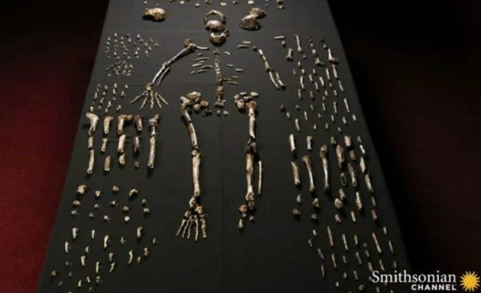 A whole new kind of ancient human found in South African caves