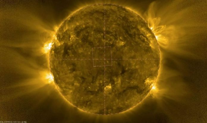 Here's Something You've Never Seen Before: Sun's mysterious pole and a solar hedgehog
