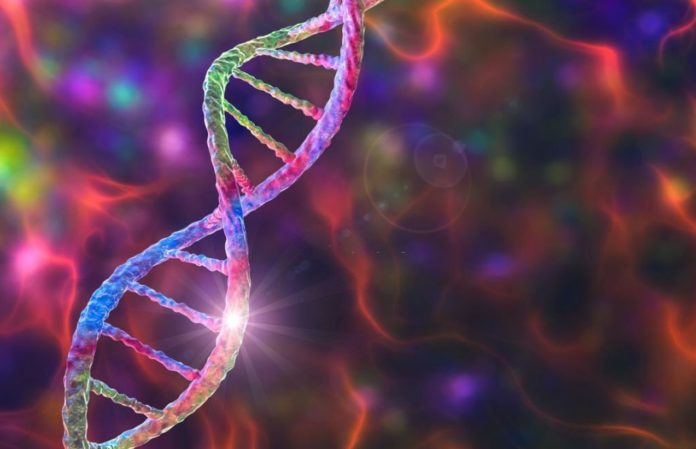 New Research Identifies Genetic Origins of 3 Mitochondrial Diseases