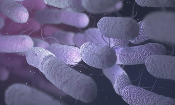 Our Gut Microbes Could Actually Predict If We Will Die In The Next 15 Years