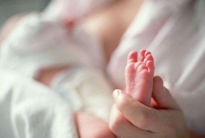 COVID Found Altering The Brain of Newborns - New Research