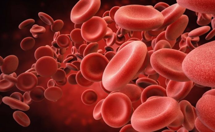 Patients with Hemophilia can now 
