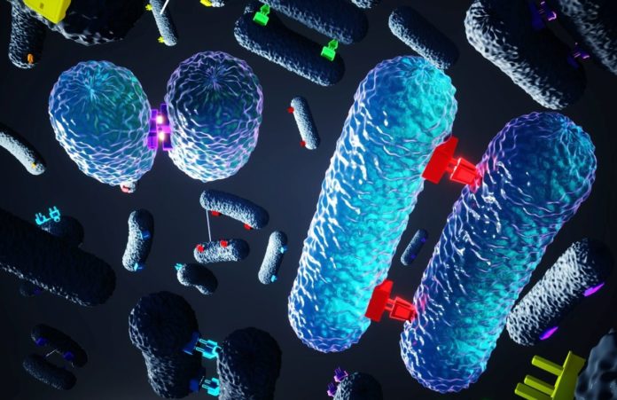 This New Insight Could Be The Key to Overcoming Antimicrobial Resistance