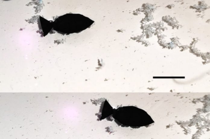 This Tiny, Scary Fish Robot Collects Microplastics As It Swims