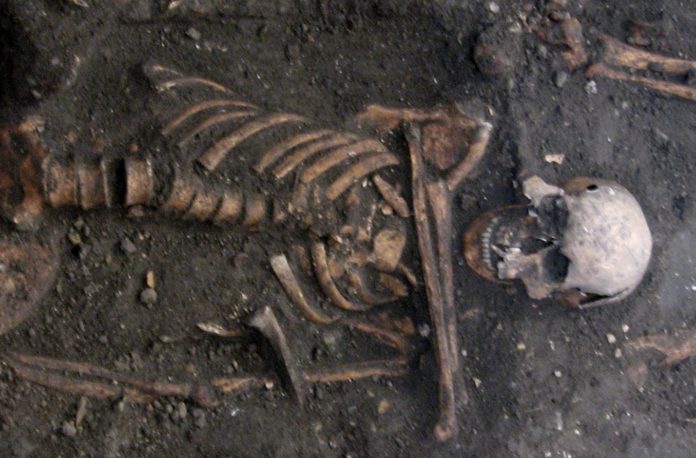 A New Study Just Changed What We Know About The Ancestor of 