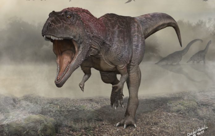 Newly Found Dinosaur Has Unusually Short Arms Like T. Rex