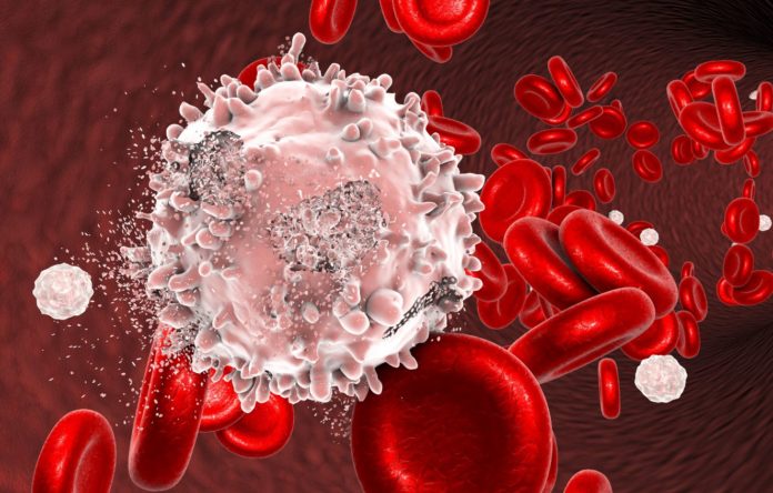 Now We Can Direct The Immune System To Kill Blood Cancer Cells - New Study Shows How