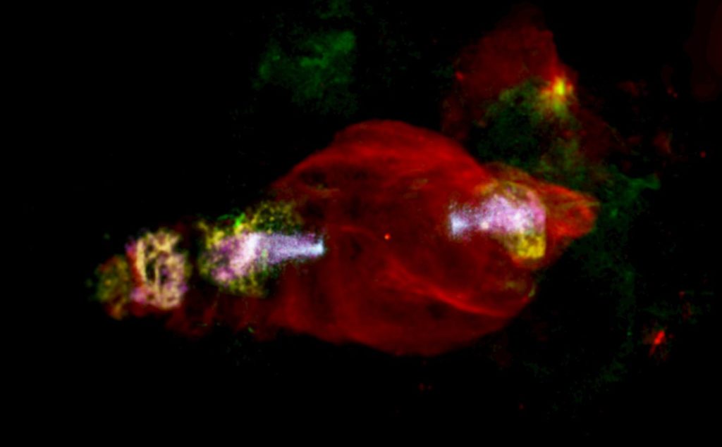 This Beautiful Cosmic Creature accelerates particles from its 'head'