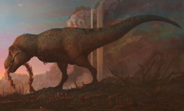 “Tyrannosaurus rex remains the one true king of the dinosaurs” - Finds New Research