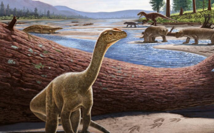 New Discovery Holds Evidence Of Africa's Oldest Known Long-necked Dinosaur