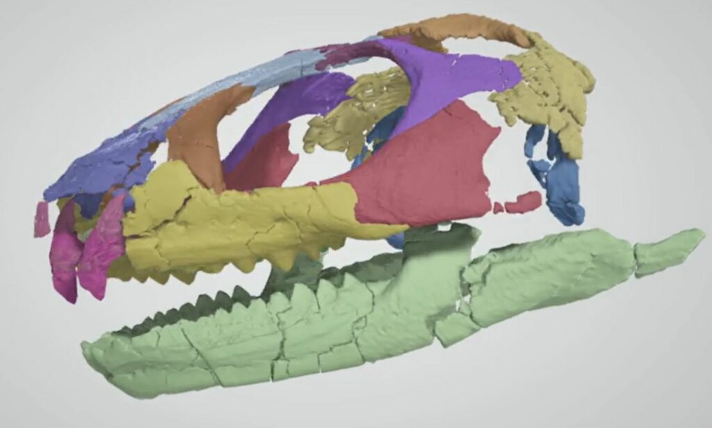 This New Ancient Reptile Inhabited Jurassic North America 150 Million Years Ago