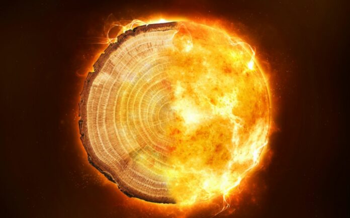 Tree-ring Radiocarbon Record Offers New Insight Into Devastating Radiation Storms