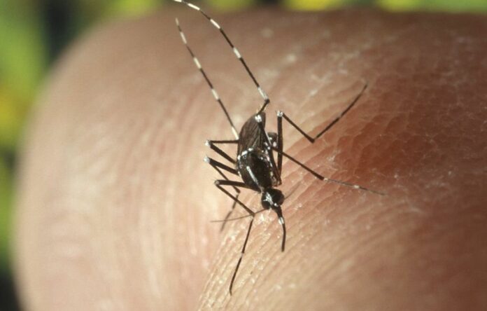 An Ancient Antiviral Weapon That Can Neutralize Zika Virus