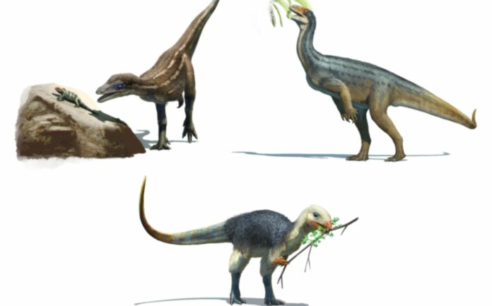 Diets Of Early Dinosaurs Ancestors Of The Veggie Long-necked Sauropods Like Diplodocus Ate Meat