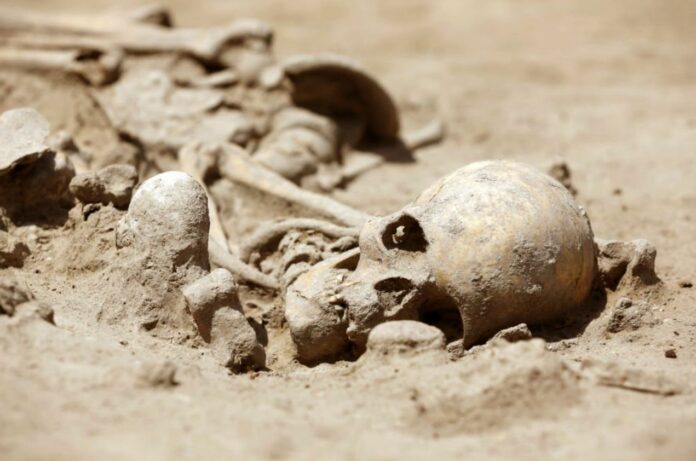 Human Remains Reveal Thousands Of Years Old Ritual Used To Give New Social Life After Death