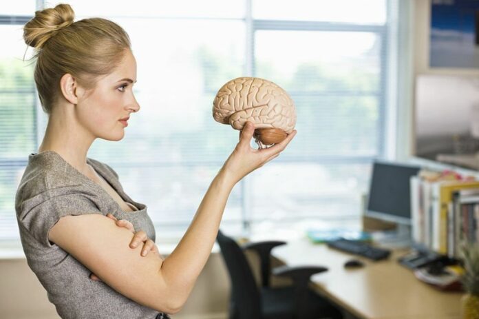 Identified Brain Area That Helps You Think Actively
