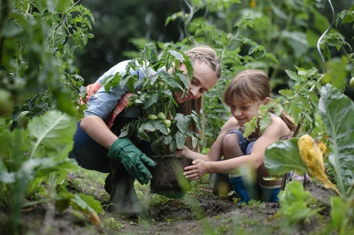 'Concrete Evidence' People Who Garden Have Better Mental Health And Lower Risk Of Cancer, Chronic Disease