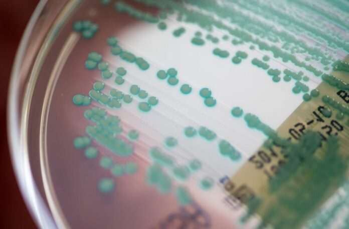 We May Be Treating Antimicrobial Resistance All Wrong: A New Approach To Treat Super-bugs