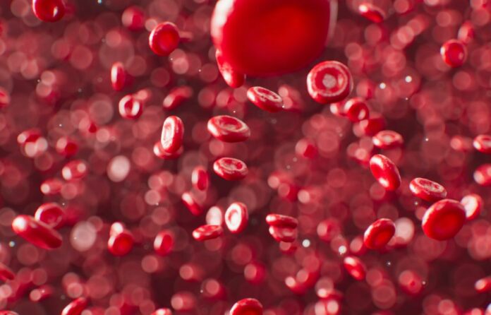 Breakthrough in Haemophilia Research: New Preventative Treatment Stops Bleeding