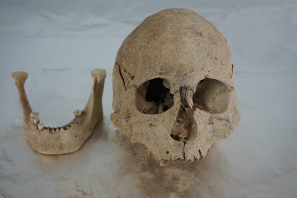 Estudio genómico de humanos antiguos revela 'una historia profunda y diversificada de humanos en la meseta'