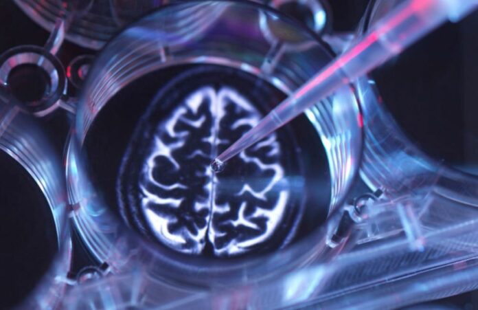New Findings Might Help Wake Brain Activity by Manipulating Fluid Flow in People with Alzheimer’s