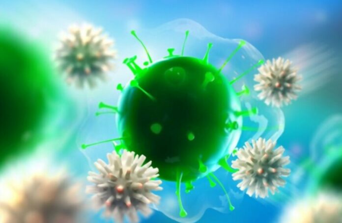 New Study Reveals Immune System's Secret Backup Plan Against Viral Infections