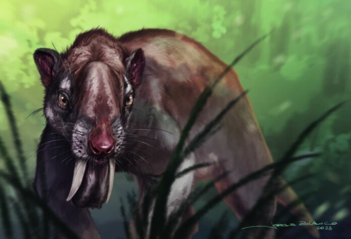 One Thing Is Clear: Marsupial Sabertooth Thylacosmilus 'Was Not A Freak Of Nature' - According To New Study