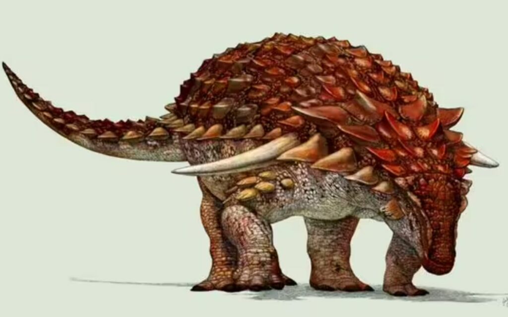 Scientists discover rare dinosaur fossil with remarkably intact facial skin